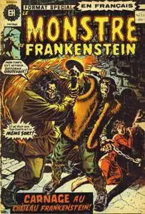 Monstre de Frankenstein (EH) 11