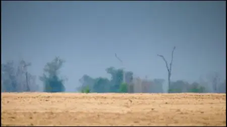 Smithsonian Ch. - Africa's Hunters: Series 3 (2019)