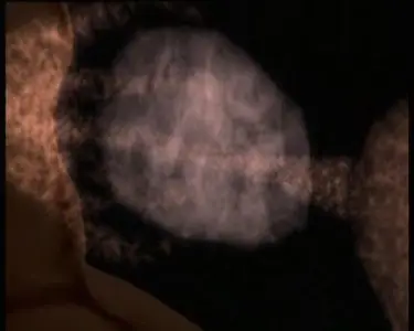BBC - The Human Body