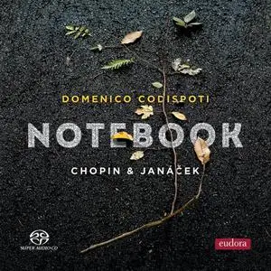 Domenico Codispoti - Notebook (2022)