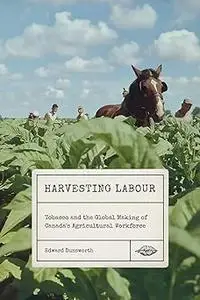 Harvesting Labour: Tobacco and the Global Making of Canada's Agricultural Workforce (Volume 12)