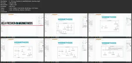 Webmethods For Everyone (Development & Admin) - Esb Only