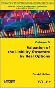 Valuation of the Liability Structure by Real Options