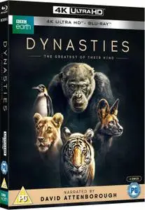 Dynasties 4K (2018) Season 1