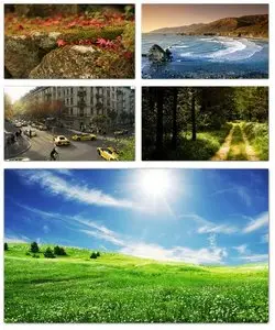 Nature Wallpapers No.21