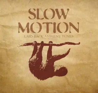 VA - Slow Motion (2008) 