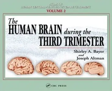 The Human Brain During the Third Trimester (Atlas of Human Central Nervous System Development) by Shirley A. Bayer 