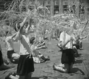 Japan war newsreel 1940年(昭和15年)7月28日