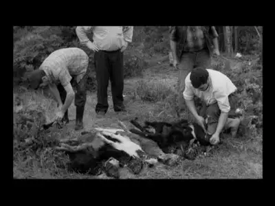 The Town (1997)