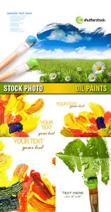Amazing SS - Oil Paints