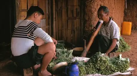 Bing Du / Ice Poison (2014)