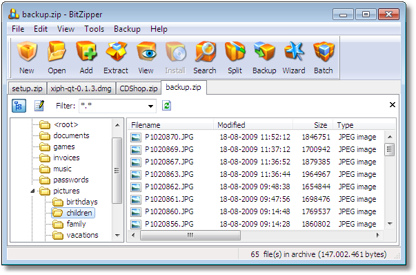 BitZipper 2010
