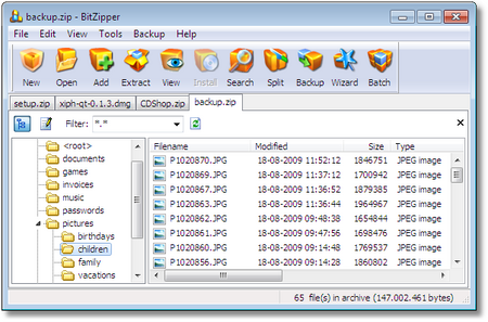 BitZipper 2010
