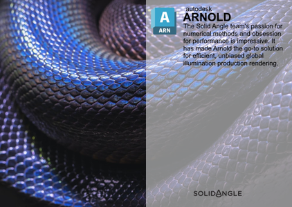 Solid Angle Houdini to Arnold 6.1.4.4