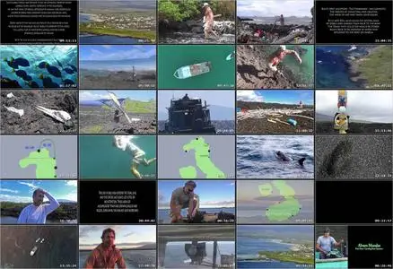 Isabela: a Green Explorer Expedition (2016)