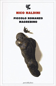 Piccolo romanzo magrebino - Nico Naldini