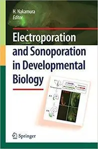 Electroporation and Sonoporation in Developmental Biology