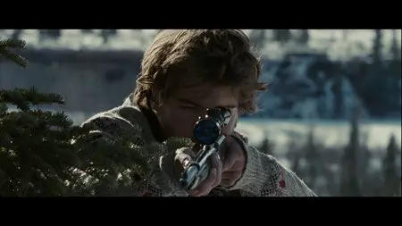 Into the Wild (2007)