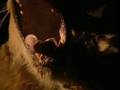Attack! Pursuit of Africa's Maneaters - Lions (2001) DVDRip