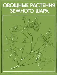 Овощные растения земного шара