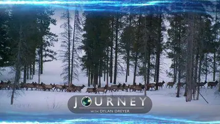 Journey with Dylan Dreyer S02E09
