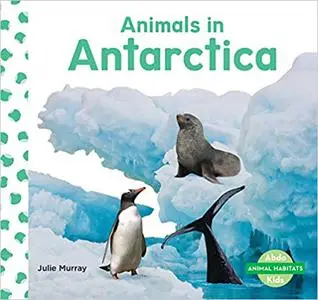 Animals in Antarctica