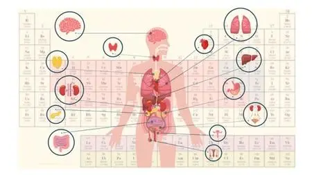 How To Self Balance Heavy Metals