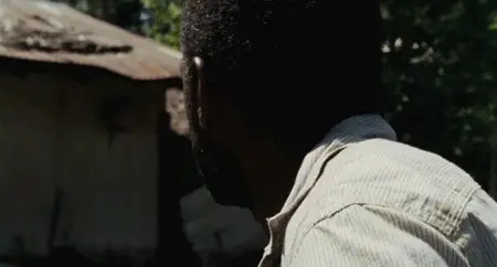 Les Betes du Sud sauvage (2012)