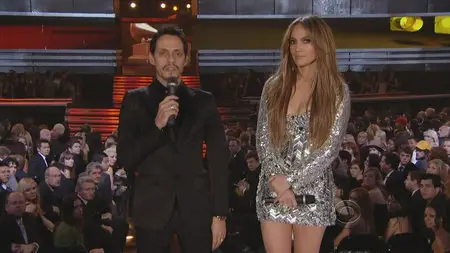 The 53rd annual Grammy Awards (2011)
