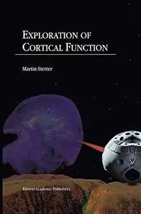 Exploration of Cortical Function: Imaging and Modeling Cortical Population Coding Strategies