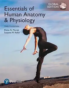 Essentials of Human Anatomy & Physiology, Global 12th Edition (repost)