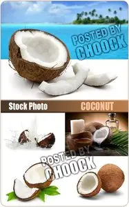 Coconut - Stock Photo