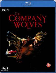 The Company of Wolves (1984) [Repost]