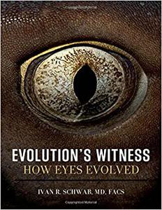 Evolution's Witness: How eyes evolved (Repost)