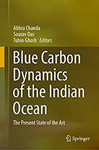Blue Carbon Dynamics of the Indian Ocean