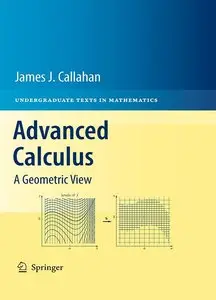 Advanced Calculus: A Geometric View (repost)