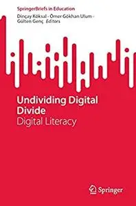 Undividing Digital Divide