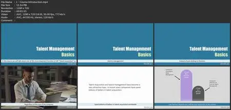 Talent Management Basics: Learn Modern Human Resources (Hr)