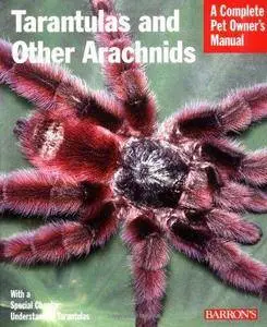 Tarantulas and Other Arachnids