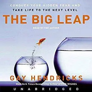 The Big Leap: Conquer Your Hidden Fear and Take Life to the Next Level [Audiobook]