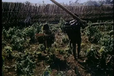 Battleground Vietnam. War in the Jungle / Поле боя - Вьетнам (2005) [ReUp]