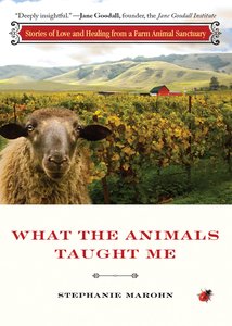 What the Animals Taught Me: Stories of Love and Healing from a Farm Animal Sanctuary