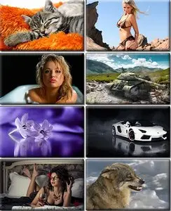 LIFEstyle News MiXture Images. Wallpapers Part (433)