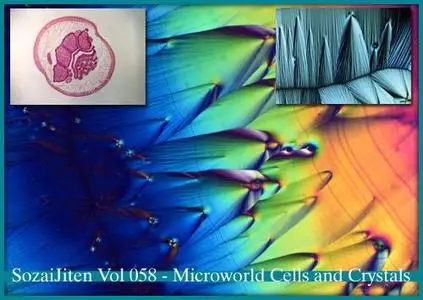 DataCraft Sozaijiten Vol 058 - Microworld Cells and Crystals
