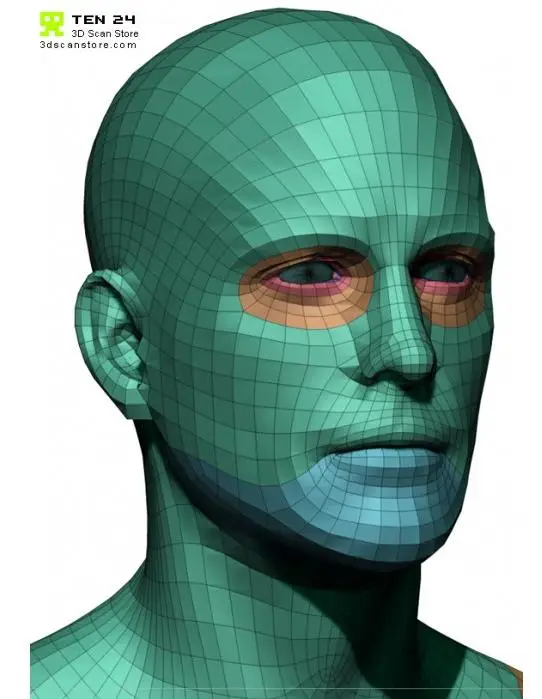 Male Base Mesh