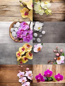 Orchid & SPA Backgrounds