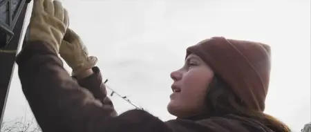 Horse Healing (2025)