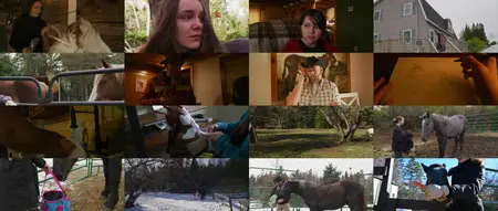 Horse Healing (2025)