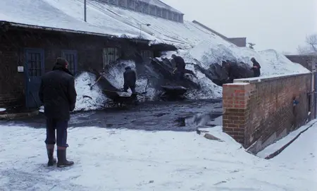 Scum (1979)