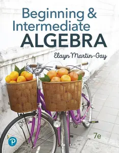 Beginning & Intermediate Algebra